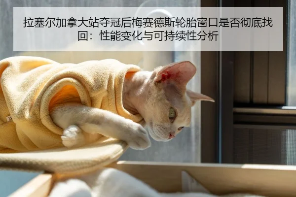 拉塞尔加拿大站夺冠后梅赛德斯轮胎窗口是否彻底找回：性能变化与可持续性分析