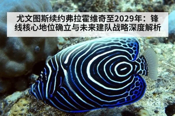 尤文图斯续约弗拉霍维奇至2029年:锋线核心地位确立与未来建队战略深度解析